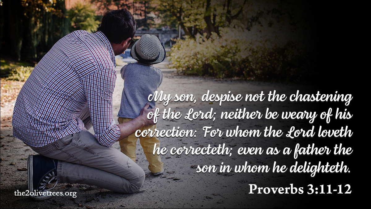 Proverbs Mindset Proverbs 3:11-12 What’s Your Attitude Towards Correction? – The 2 Olive ...