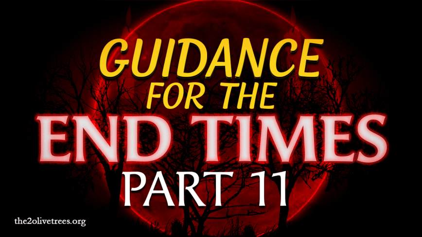 Guidance for the End Times (Part 11)