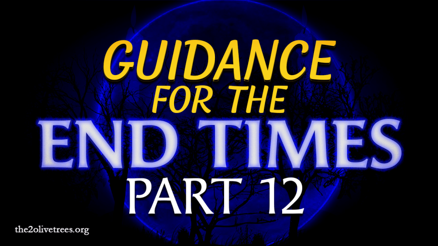 Guidance for the End Times (Part 12)