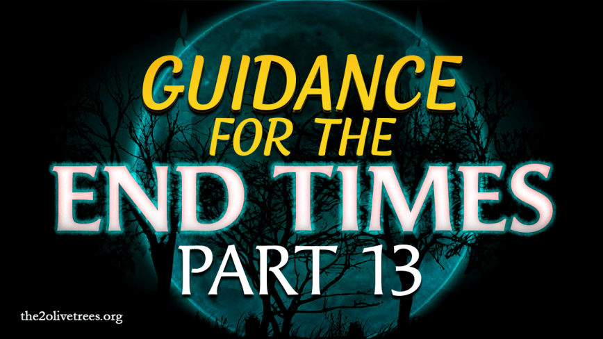Guidance for the End Times (Part 13)