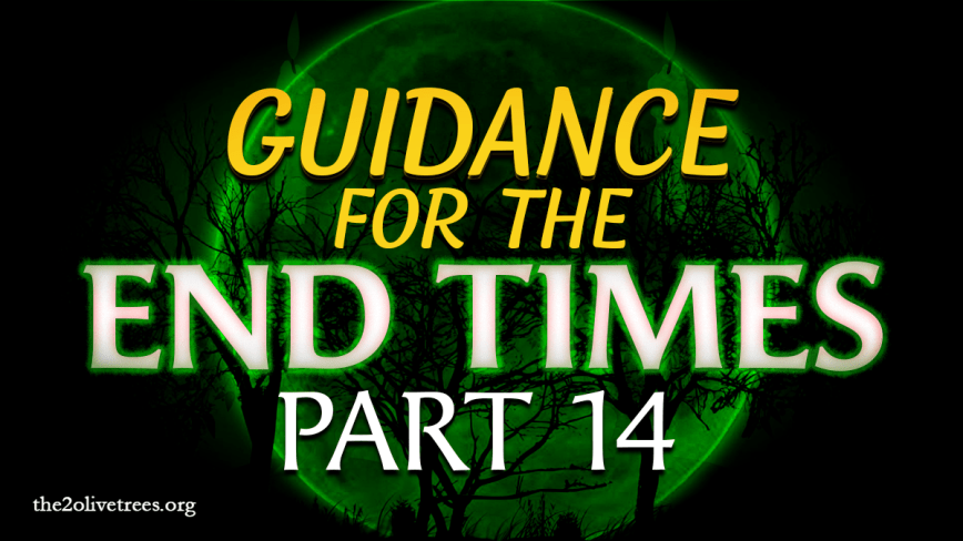 Guidance for the End Times (Part 14)