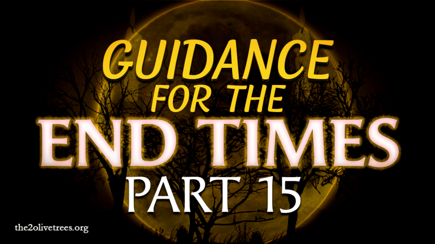 Guidance For the End Times (Part 15)