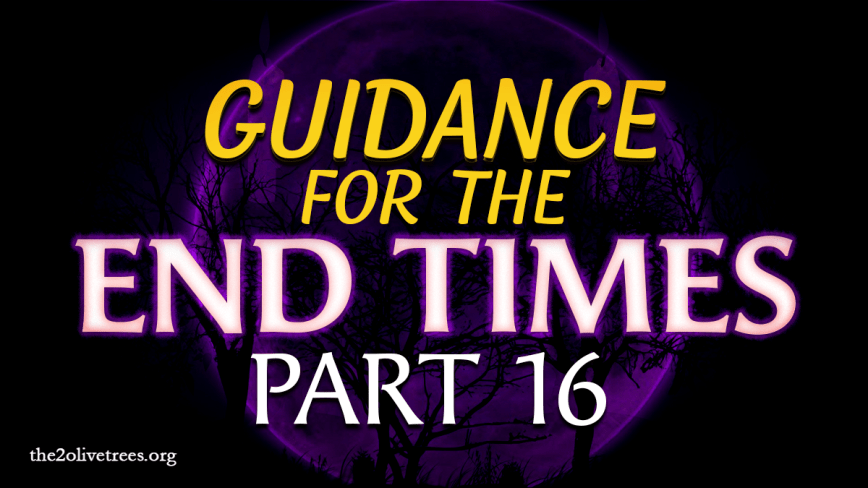 Guidance for the End Times (Part 16)