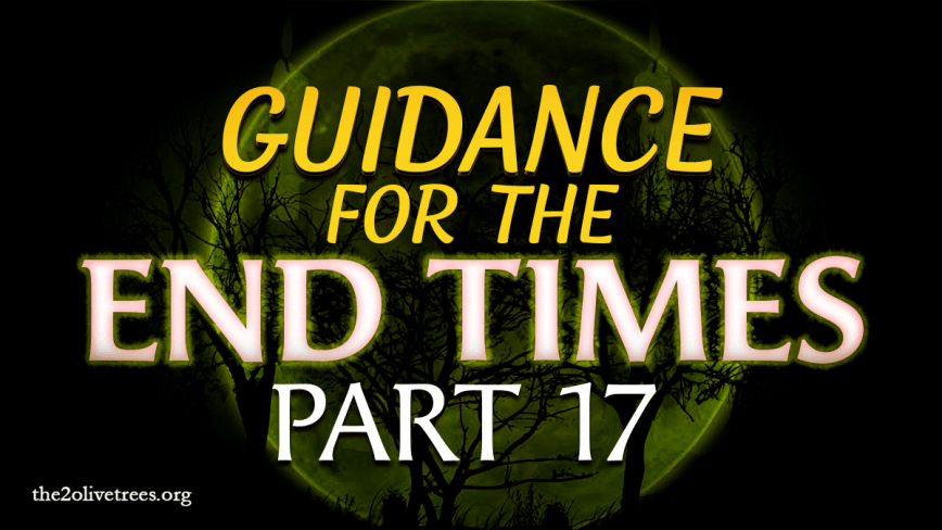 Guidance for the End Times (Part 17)