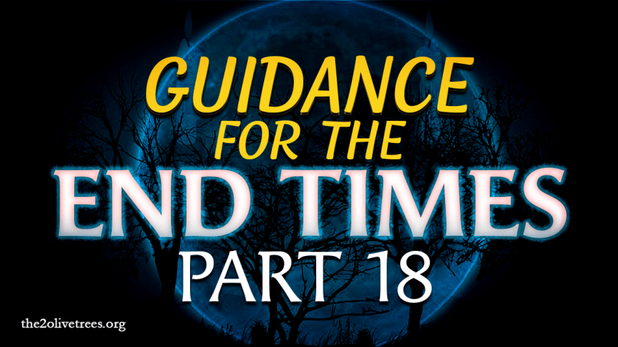 Guidance for the End Times (Part 18)